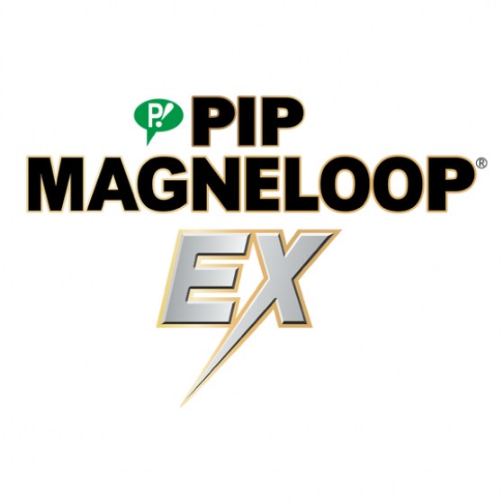 Magneloop 2